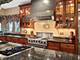309 N Merrill, Park Ridge, IL 60068