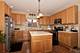 115 S Dawn Marie, Round Lake, IL 60073