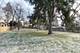 323 Arbor, West Chicago, IL 60185