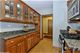 1116 Maple Unit A1, Evanston, IL 60202