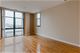 221 E Cullerton Unit 1028, Chicago, IL 60616