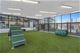 738 N Morgan Unit N-1116, Chicago, IL 60642