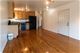 1532 S St Louis, Chicago, IL 60623