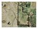 16009 Sara, Union, IL 60180