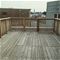 1157 W Newport Unit M, Chicago, IL 60657