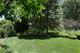 419 S Rose, Palatine, IL 60067