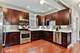 1437 W Oakdale, Chicago, IL 60657