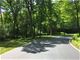 295 E Robinson, Lake Forest, IL 60045