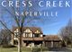 915 Lindrick, Naperville, IL 60563