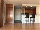 1455 N Sandburg Unit 1503, Chicago, IL 60610