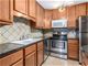 425 Walnut Creek Unit 1402, Lisle, IL 60532