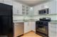 850 N Dewitt Unit 14G, Chicago, IL 60611