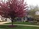 2524 Leach, Naperville, IL 60564