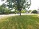 1145 Pinetree, Bartlett, IL 60103