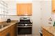 7206 Oak Unit 2SE, River Forest, IL 60305