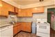 1813 W Norwood Unit B, Chicago, IL 60660