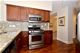 100 S Emerson Unit 306, Mount Prospect, IL 60056