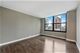 1000 N Lake Shore Unit 1102, Chicago, IL 60611