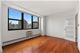 1445 N State Unit 2106, Chicago, IL 60610