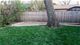 1321 N Dee, Park Ridge, IL 60068