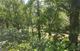 20 Dunlap Woods, Sidney, IL 61877