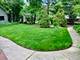 228 N Ashland, Park Ridge, IL 60068