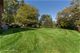 202 Viola, Prospect Heights, IL 60070