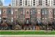 1317 S Indiana, Chicago, IL 60605