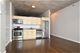 1720 S Michigan Unit 2504, Chicago, IL 60616