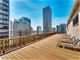 33 E Cedar Unit 8D, Chicago, IL 60611