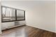 33 E Cedar Unit 11B, Chicago, IL 60611