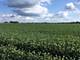 207 Acres Off Bauman, Woodstock, IL 60098