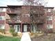 662 Daisy Unit 209, Roselle, IL 60172