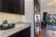 1401 N Wieland Unit W, Chicago, IL 60610