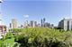 1600 S Prairie Unit 1002, Chicago, IL 60616