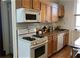 1850 W Newport Unit 1W, Chicago, IL 60657