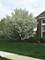 3880 Kingsmill, Elgin, IL 60124