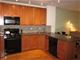 1212 N Wells Unit 1001, Chicago, IL 60610