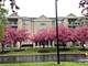 13750 Bristlecone Unit 212, Plainfield, IL 60544