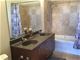 1720 S Michigan Unit 3002, Chicago, IL 60616