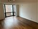 1111 N Dearborn Unit 1909, Chicago, IL 60610