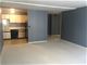 233 E Erie Unit 1501, Chicago, IL 60611