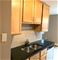 8619 W Foster Unit 2A, Chicago, IL 60656