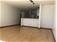 2 E Erie Unit 3014, Chicago, IL 60611