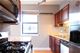 1529 S State Unit 6B, Chicago, IL 60605