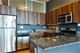 235 W Van Buren Unit 3011, Chicago, IL 60607