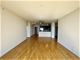 1901 S Calumet Unit 1703, Chicago, IL 60616