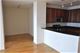 1841 S Calumet Unit 2205, Chicago, IL 60616