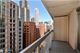 545 N Dearborn Unit 1003, Chicago, IL 60654