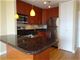 1455 N Sandburg Unit 2407, Chicago, IL 60610